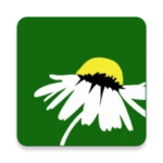 heilpraktiker schule android application logo